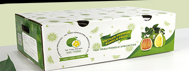 Sản xuất hộp giấy & hộp carton cao cấp